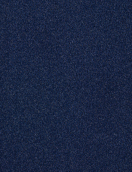 Carpet Splendor